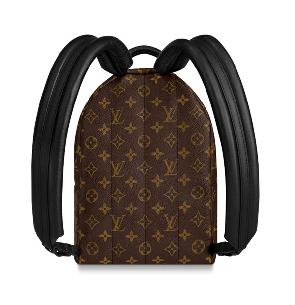 Louis Vuitton Palm Springs Pm M44870