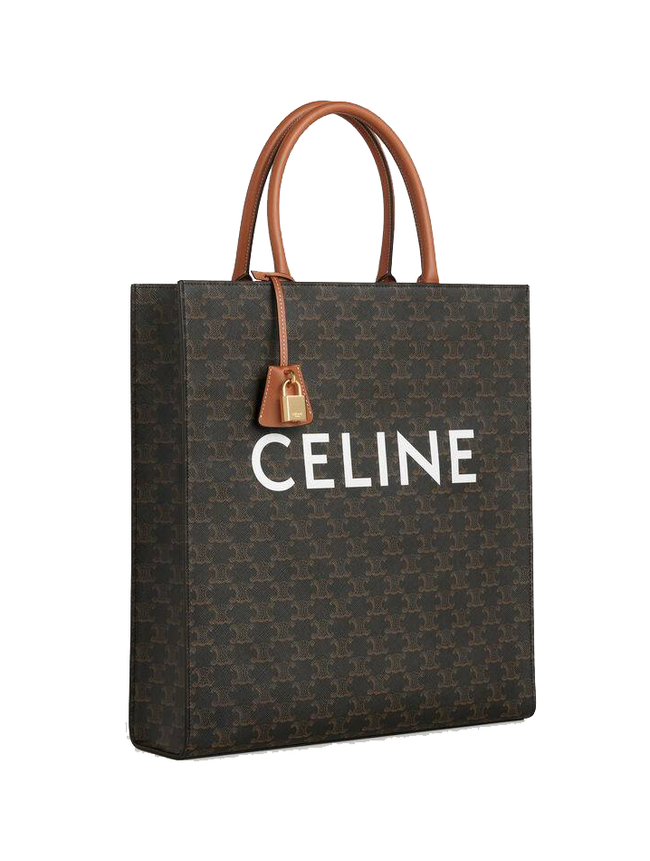 Celine Vertical Cabas In Triomphe Canvas