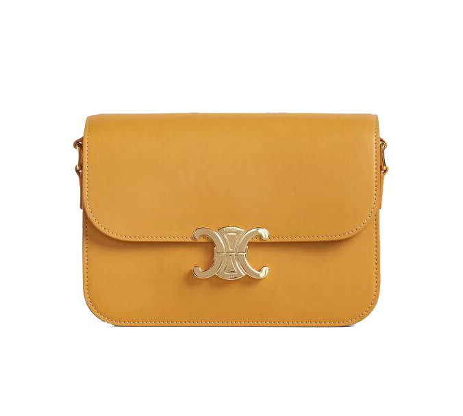 Celine Triomphe Medium Calf Leather Handbag