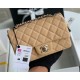  Classic Double Flap Bag Quilted Caviar 20CM