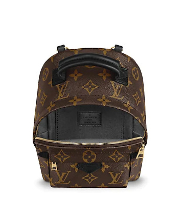 Louis Vuitton Palm Springs Mini M44873