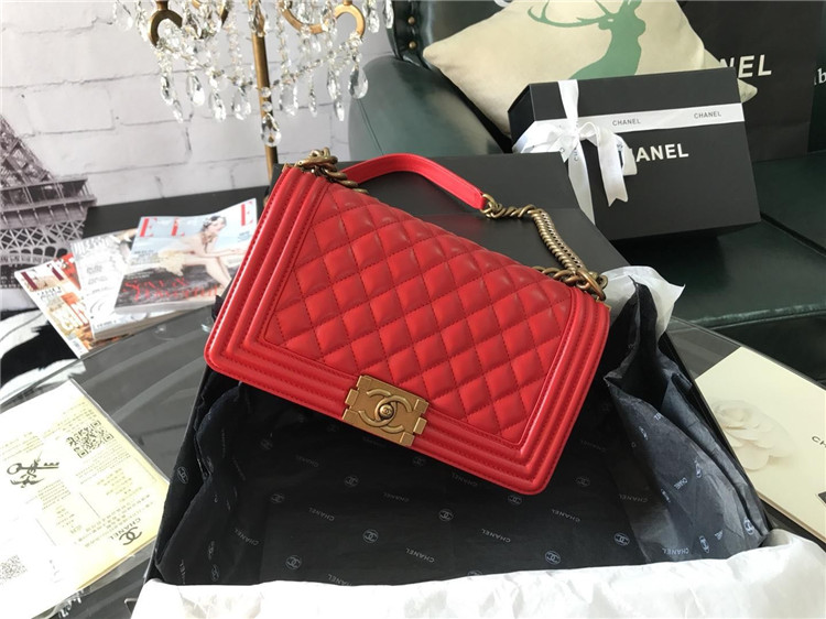 Chanel Le Boy Flap Bag 