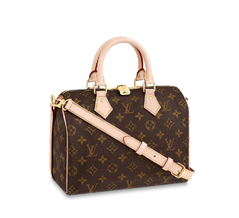 Louis Vuitton Speedy Bandoulière 25 M41113