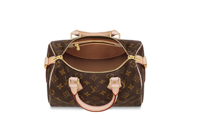 Louis Vuitton Speedy Bandoulière 25 M41113