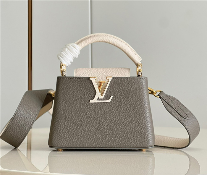 LV Capucines handbag M48865