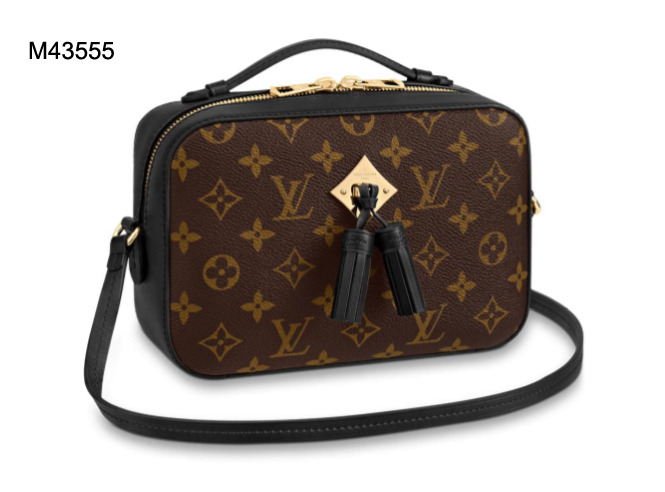 Louis Vuitton Saintonge M43555