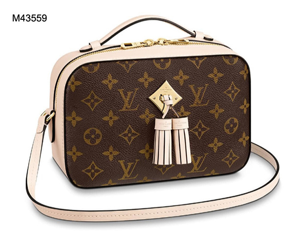 Louis Vuitton Saintonge M43555