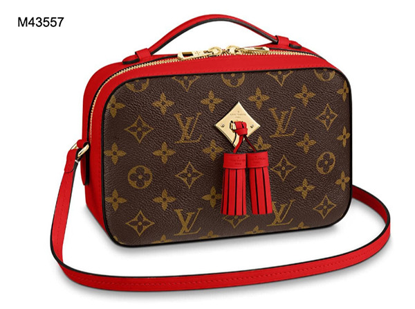 Louis Vuitton Saintonge M43555