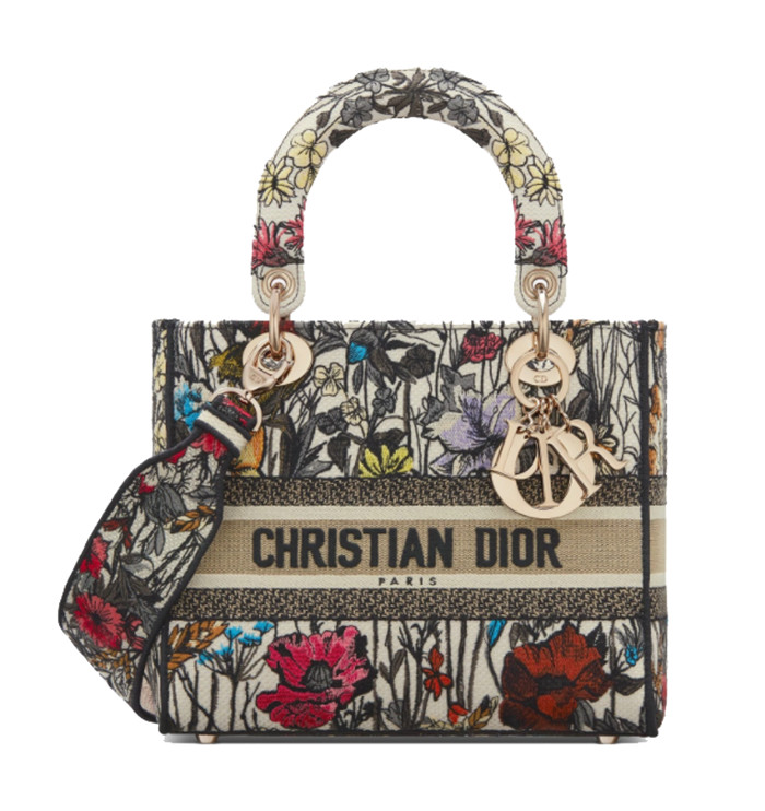 Dior Lady D-Lite Bag