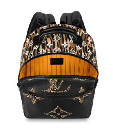 Louis Vuitton Palm Springs Pm Backpack M44718