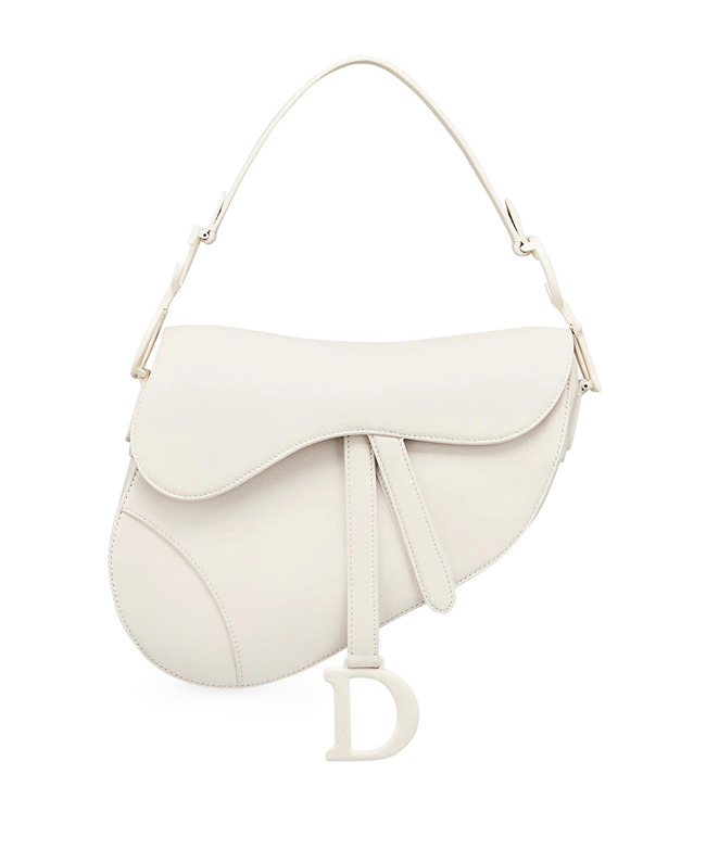 Dior Saddle Bag