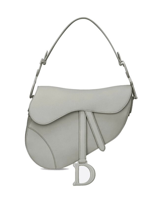 Dior Saddle Bag