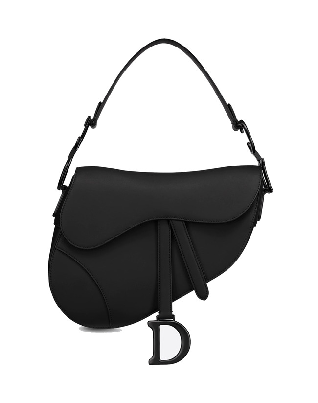 Dior Saddle Bag