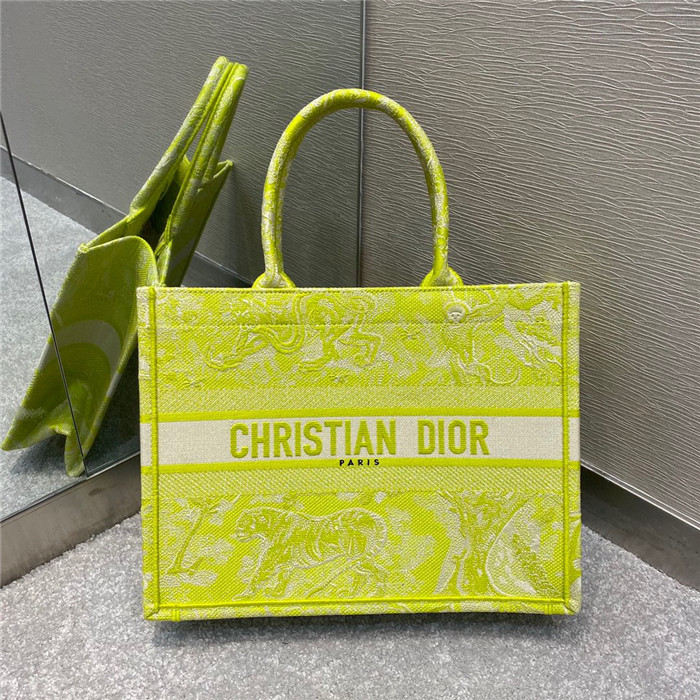 DIOR BOOK TOTE