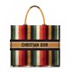 Dior Book Tote Multicolor D-Stripes Embroidery