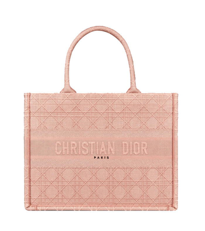 DIOR BOOK TOTE 