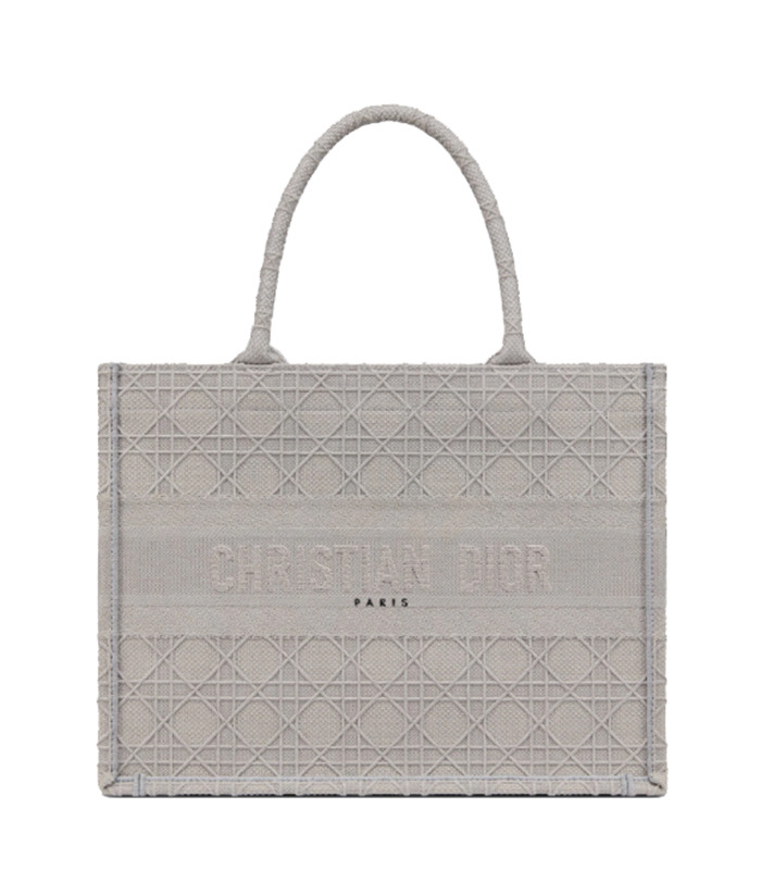 DIOR BOOK TOTE 