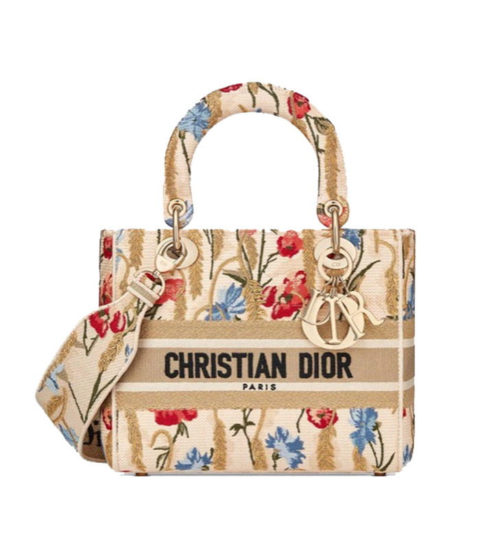 DIOR Medium Lady D-Lite Bag