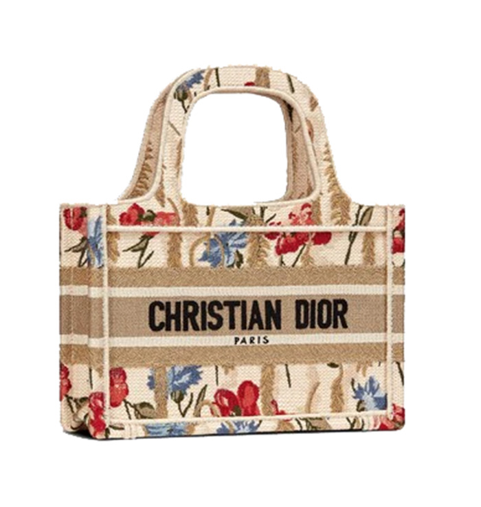 Dior Mini Book Tote