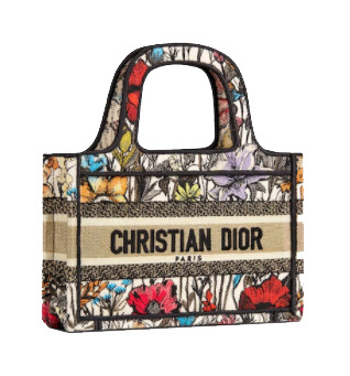 Dior Mini Book Tote