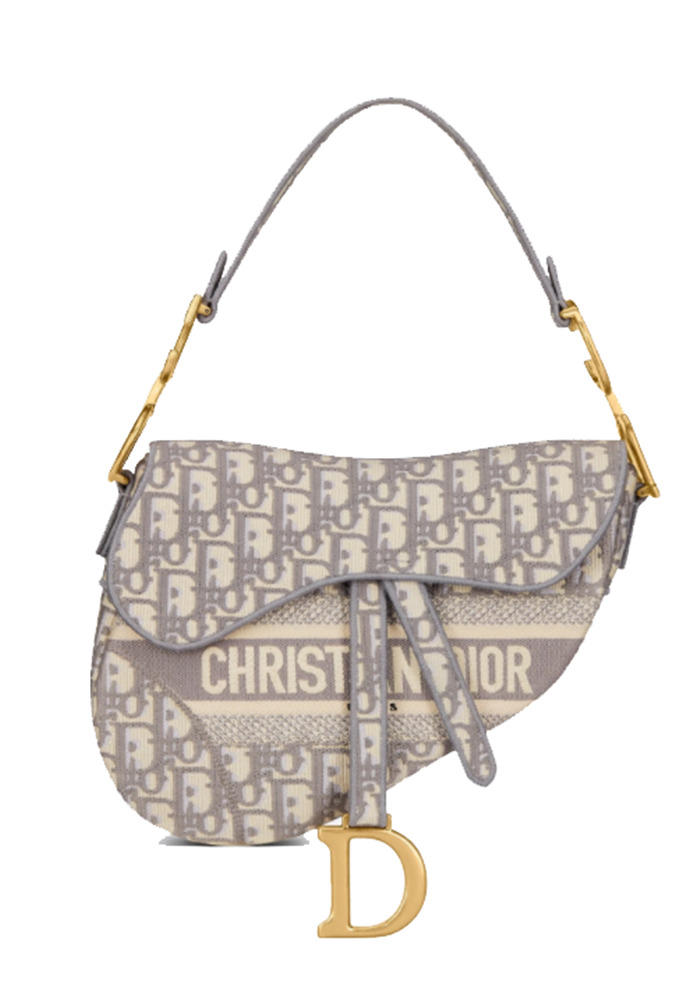 Saddle bag Gray Dior Oblique Embroidery