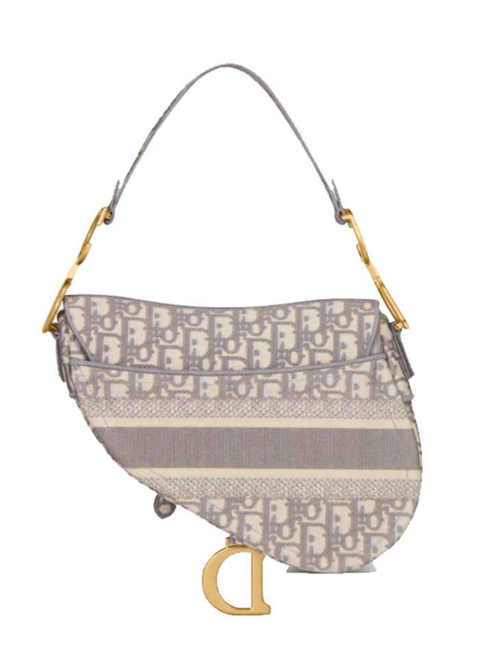 Saddle bag Gray Dior Oblique Embroidery