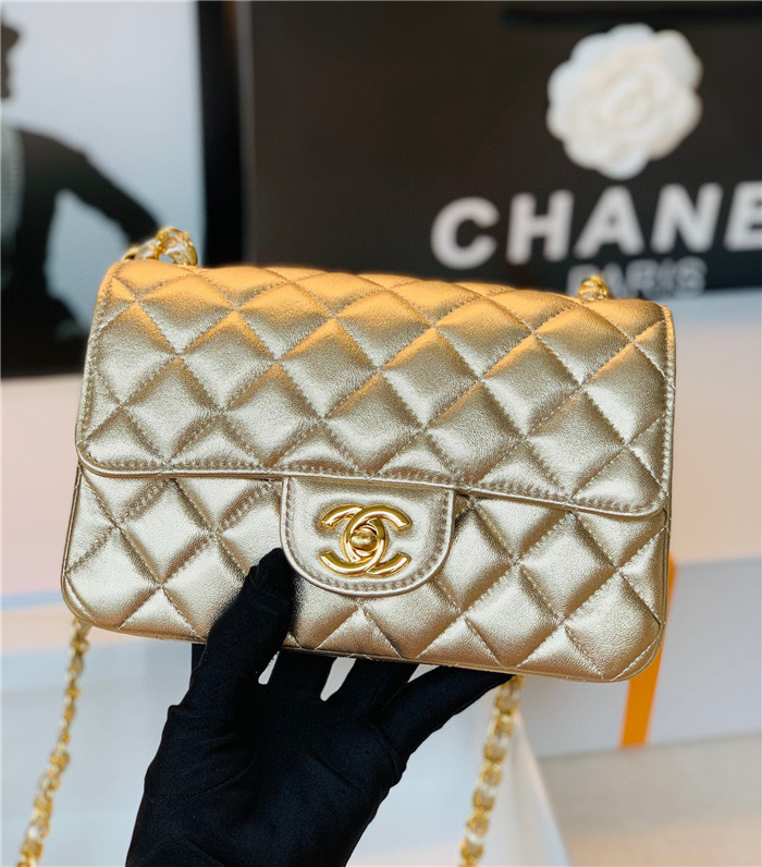 Chanel Flap Bag 20 / 25CM