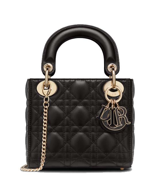 Mini Lady Dior Bag