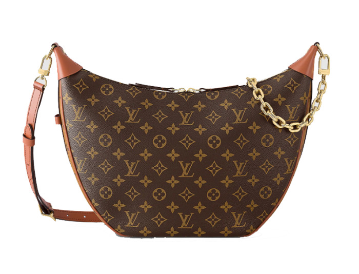 Louis Vuitton Loop Hobo Bag M46311