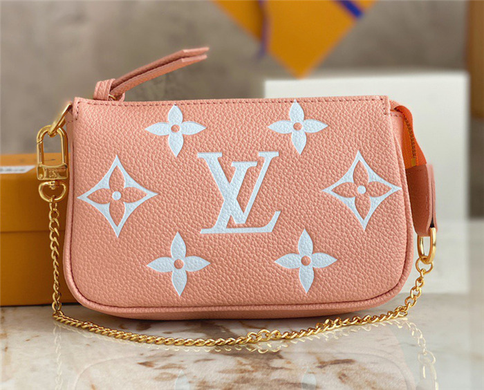 Louis Vuitton Mini Pochette Accessoires M80501