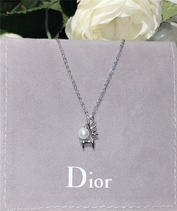 Dior Necklace