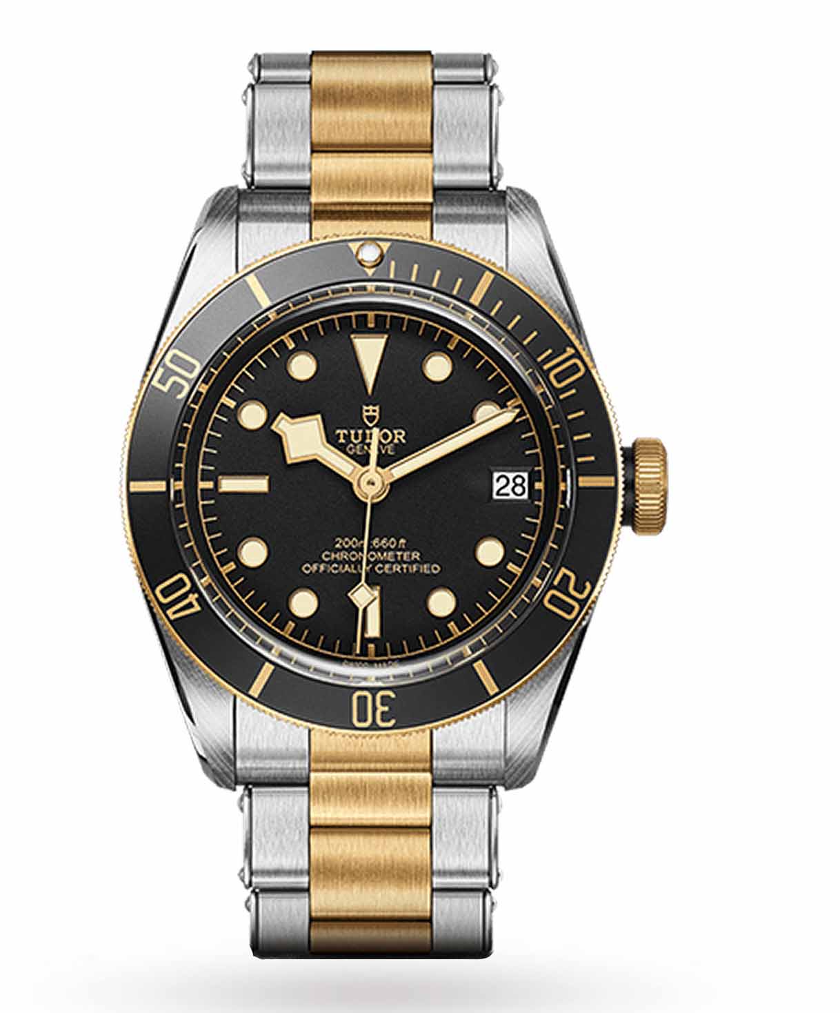 Tudor Black Dial Bracelet Gents Watch M79733N-0008